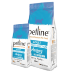Petline Anchovy
